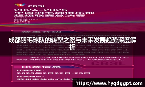 成都羽毛球队的转型之路与未来发展趋势深度解析