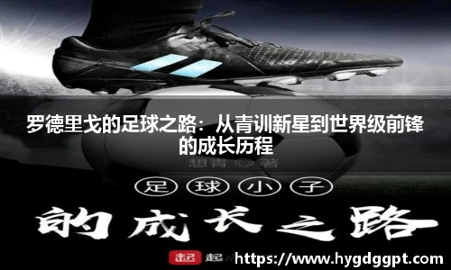 zoty中欧