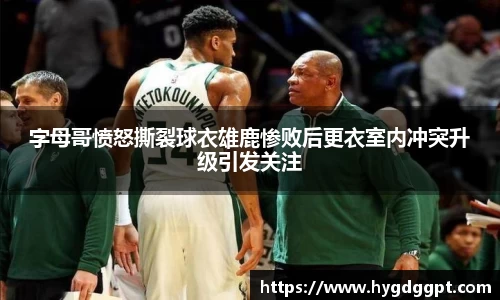 zoty中欧
